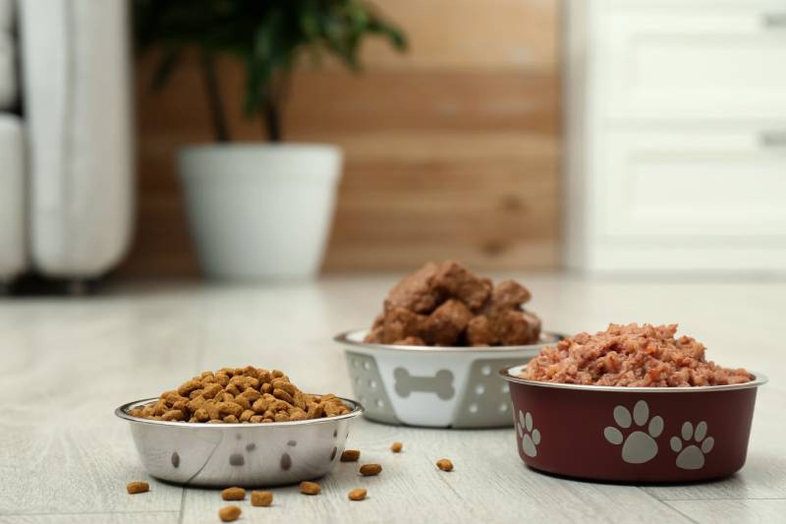 En lugar de comprar piensos de calidad baja o media es mejor comprar alimentos de buena calidad.