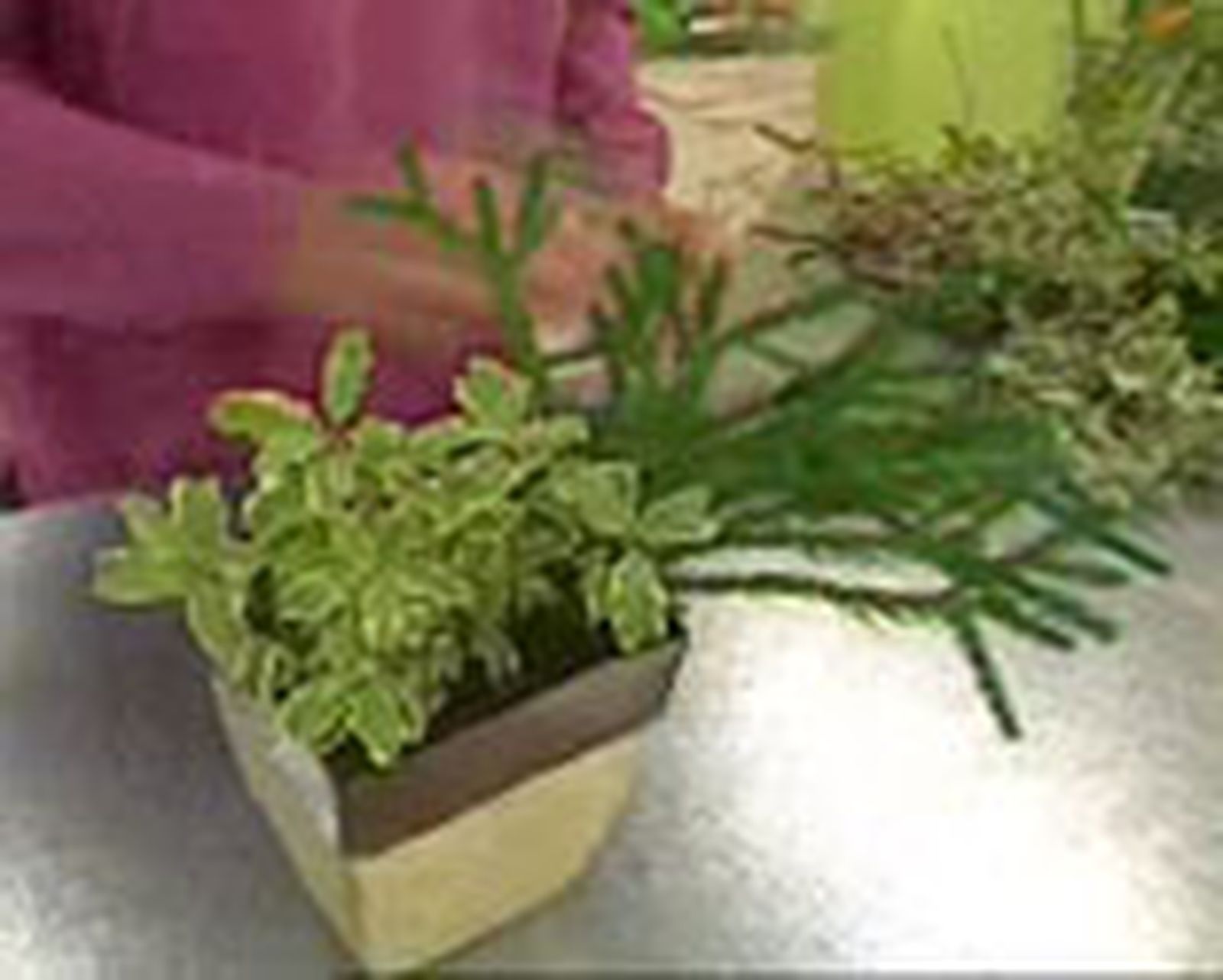 DEKO_ARTE_FLORAL_020_Centro floral de gerberas y ramas de avellano p2 DEKO_ARTE_FLORAL_020_Centro floral de gerberas y ramas de avellano p2
