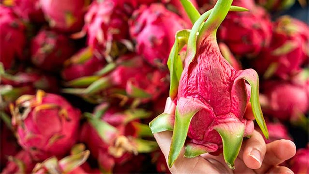 Fruta del dragón o pitahaya