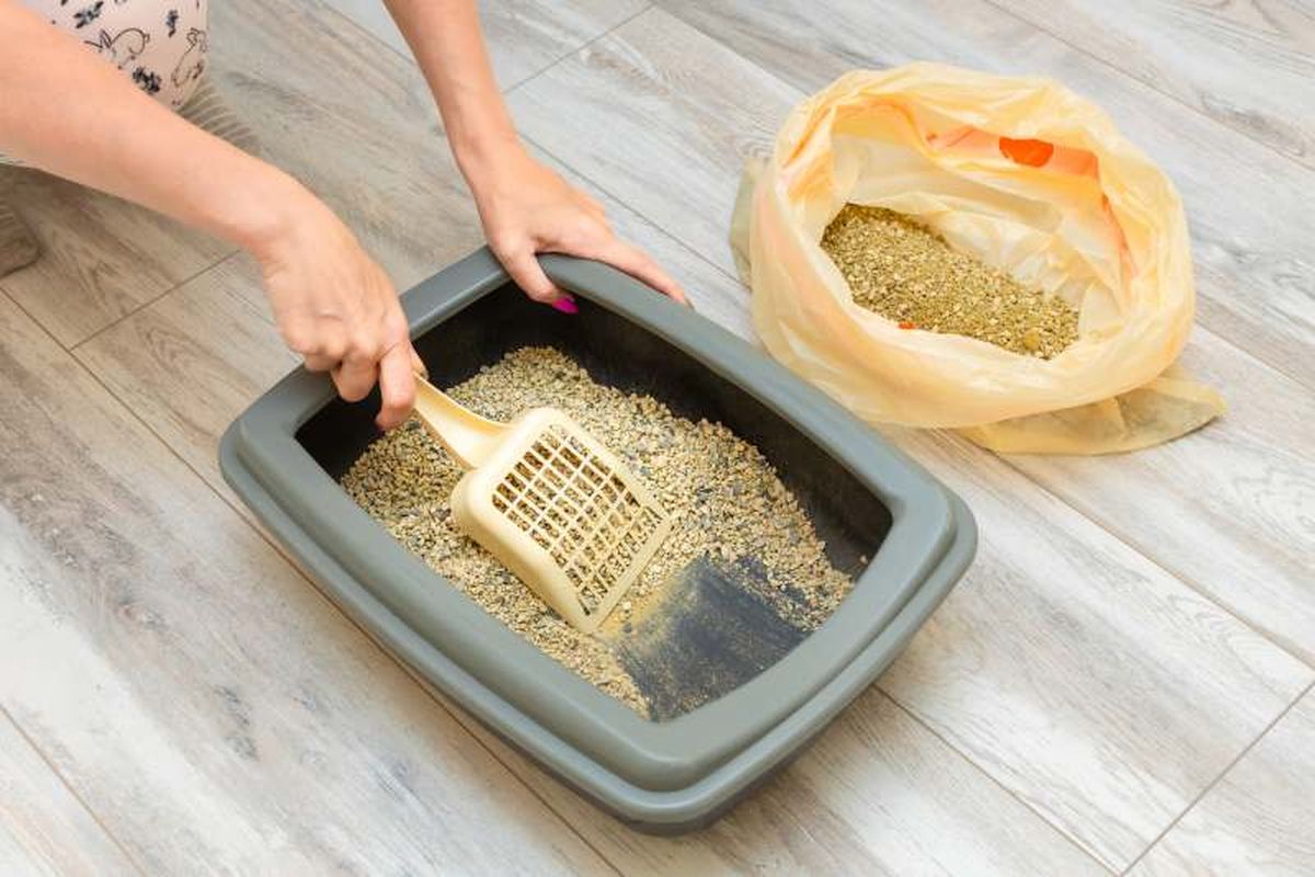 Vacía el arenero por completo si la arena está muy sucia