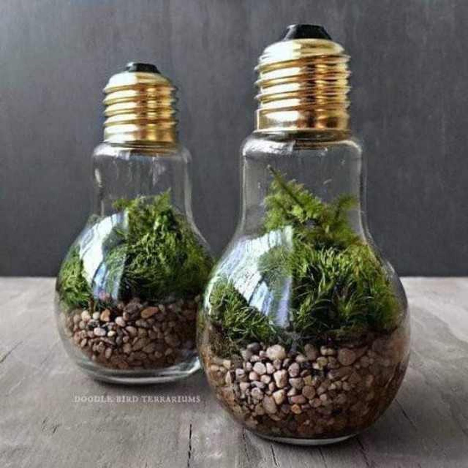 Reutilizar bombillas 5