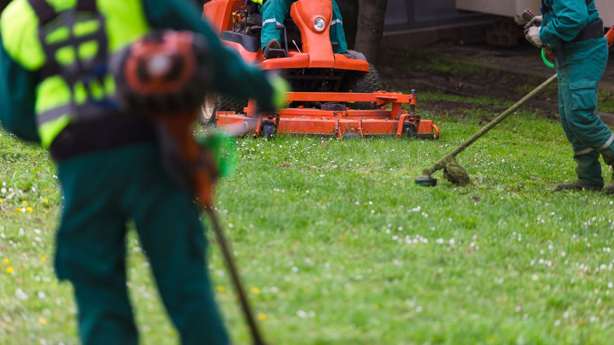 Considera contratar un profesional para cortar el césped