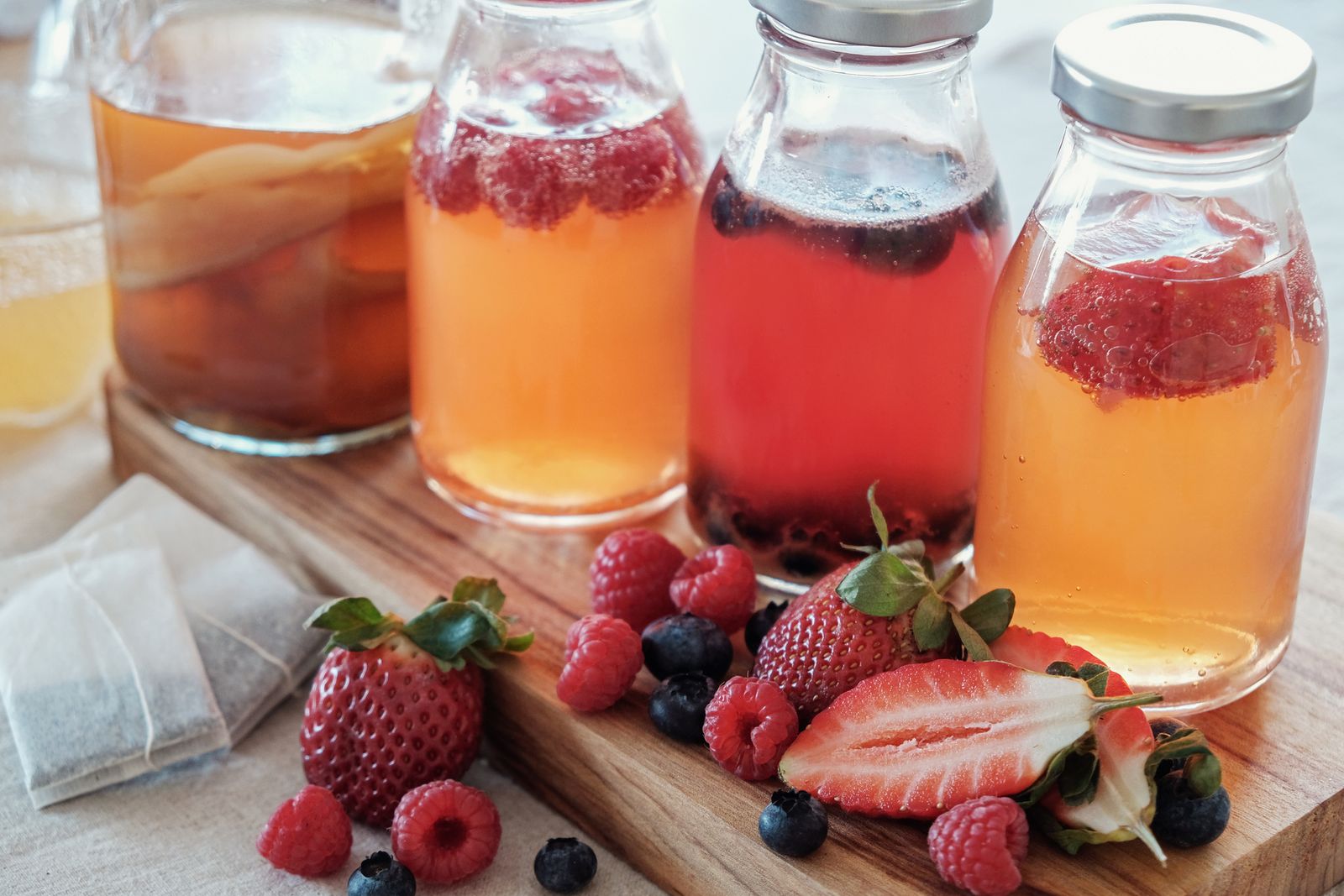 kombucha probiotico kombucha probiotico