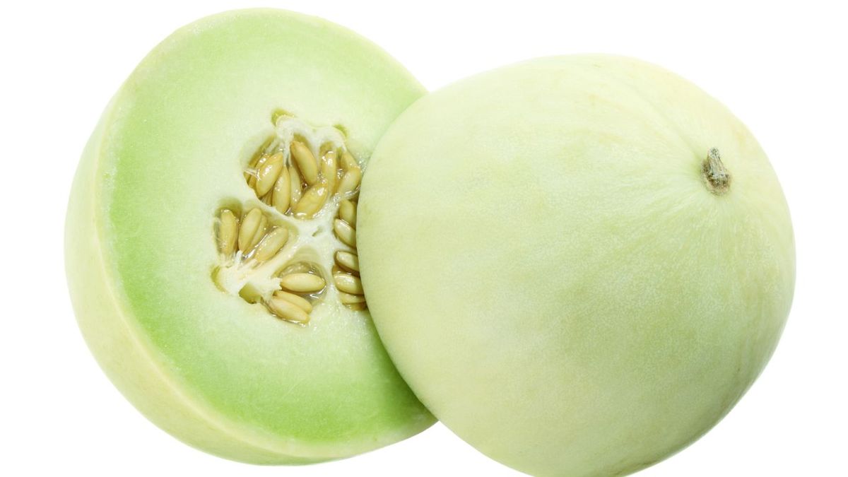 Melón Honeydew