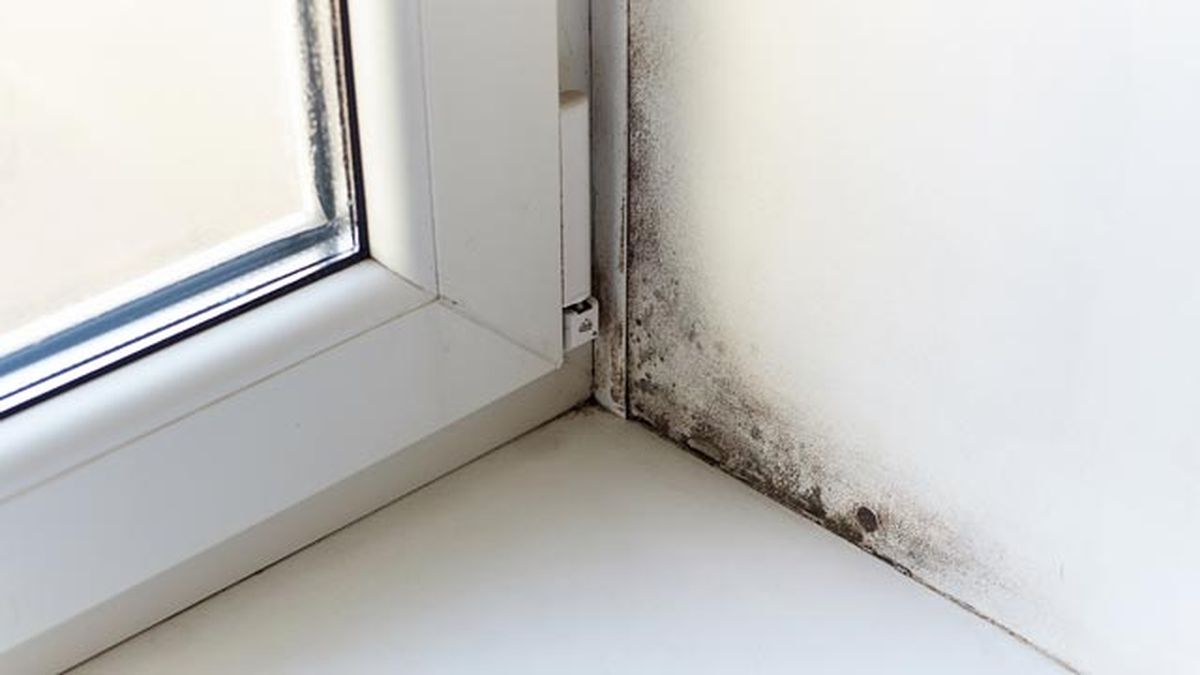 como ventilar la casa por que es importante hacerlo diario trucos consejos