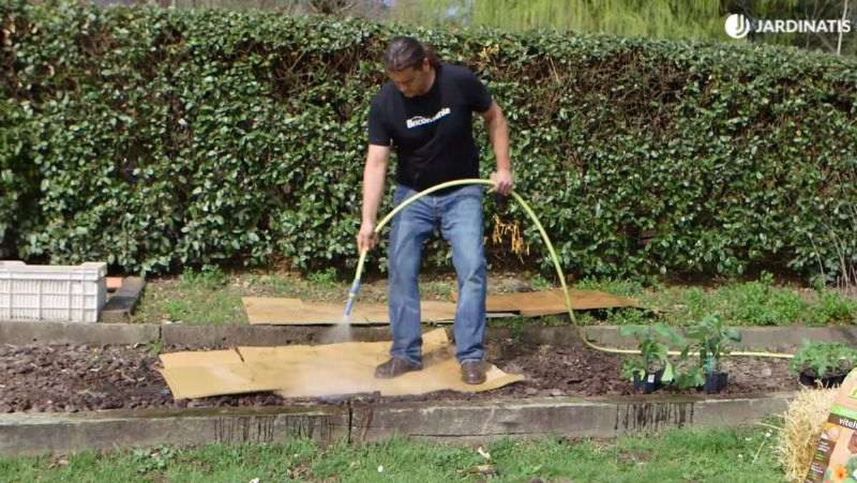 humedecer el cartón para la permacultura