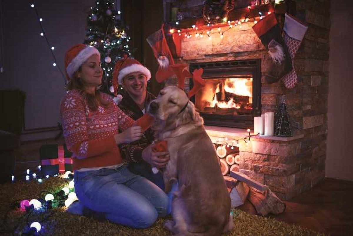 Familia al lado de la chimenea con decoración de Navidad.