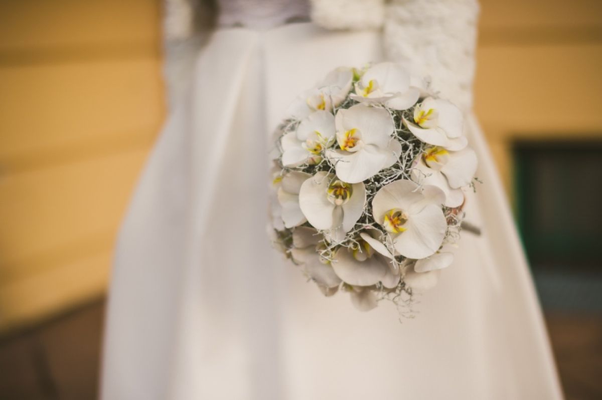 Las orquídeas traerán una belleza exótica que hará tu día inolvidable