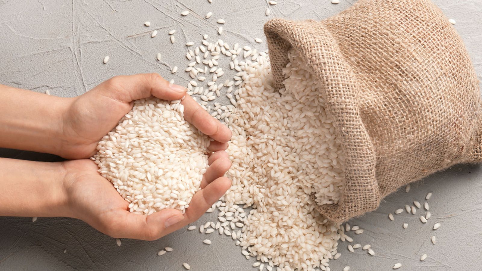 como es un grano de arroz xl