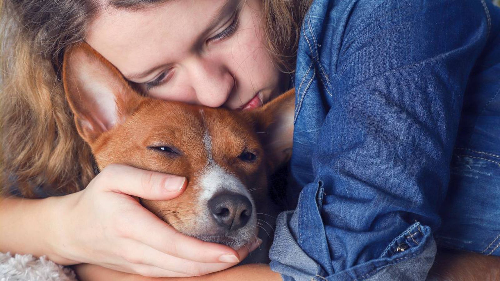 que sienten los perros antes de morir