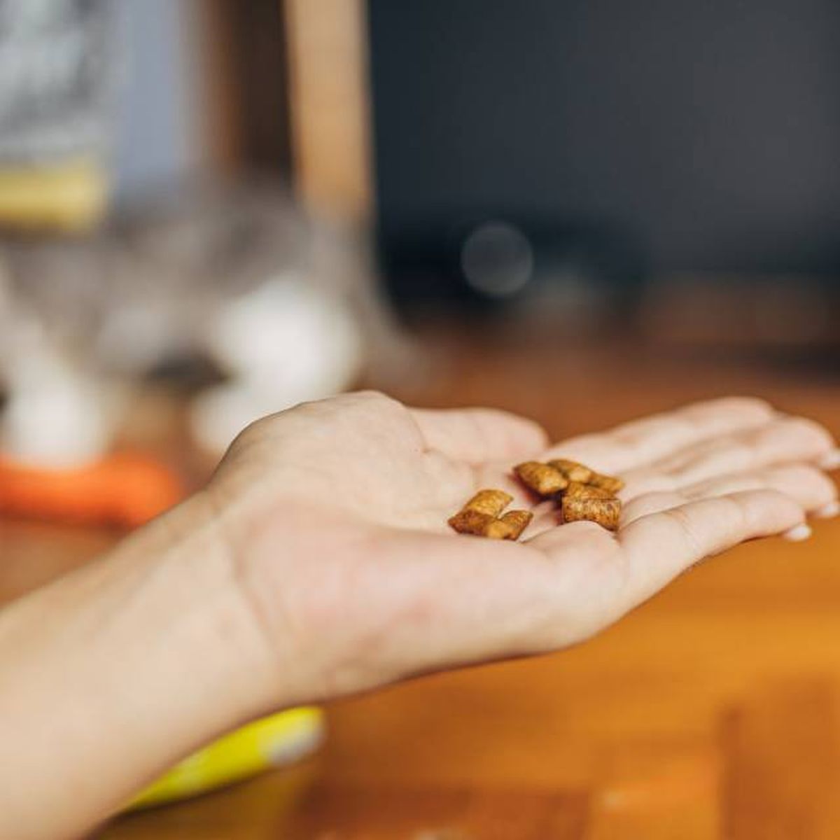 productos para gatos mas vendidos amazon snacks de malta