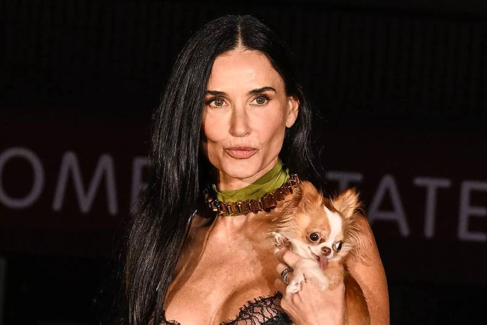 Pilaf cumple un papel clave en la vida de Demi Moore, el de perro de compañía. Pilaf cumple un papel clave en la vida de Demi Moore, el de perro de compañía.