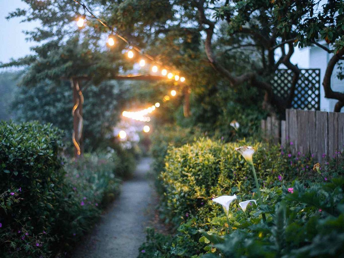 Distribuye bien los elementos, crea pequeños caminos y define puntos focales.