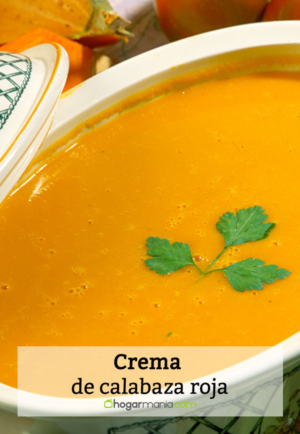 012 1 crema calabaza pin