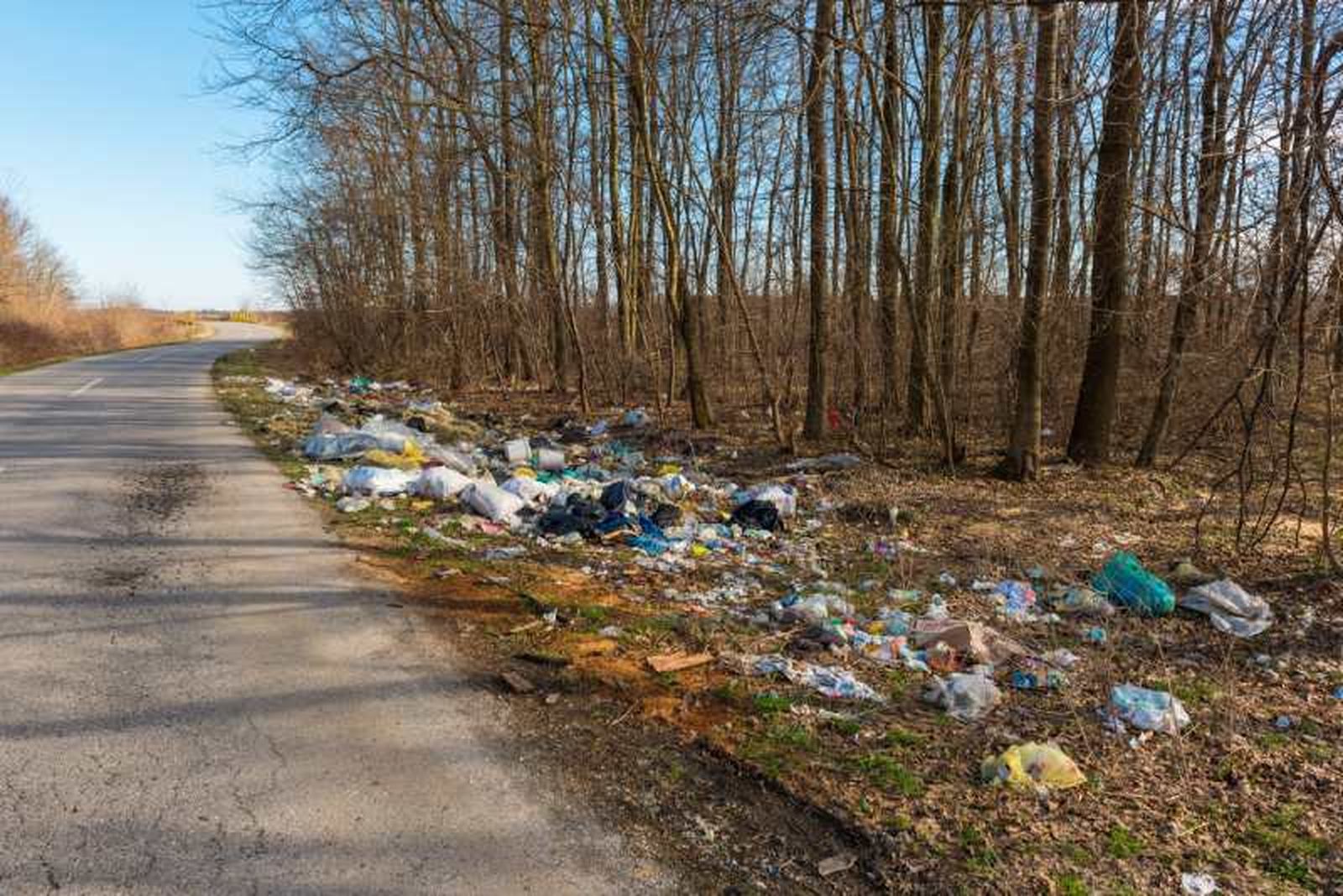 La contaminación puede causar estrés en las plantas. La contaminación puede causar estrés en las plantas.