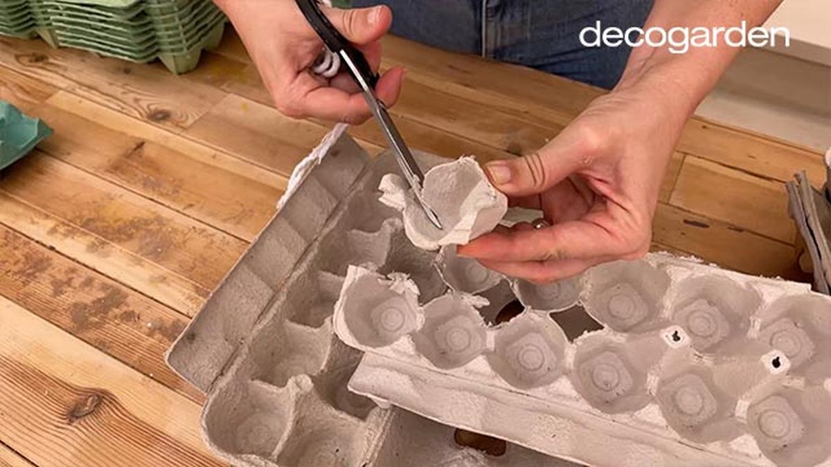 flores hueveras paso 2