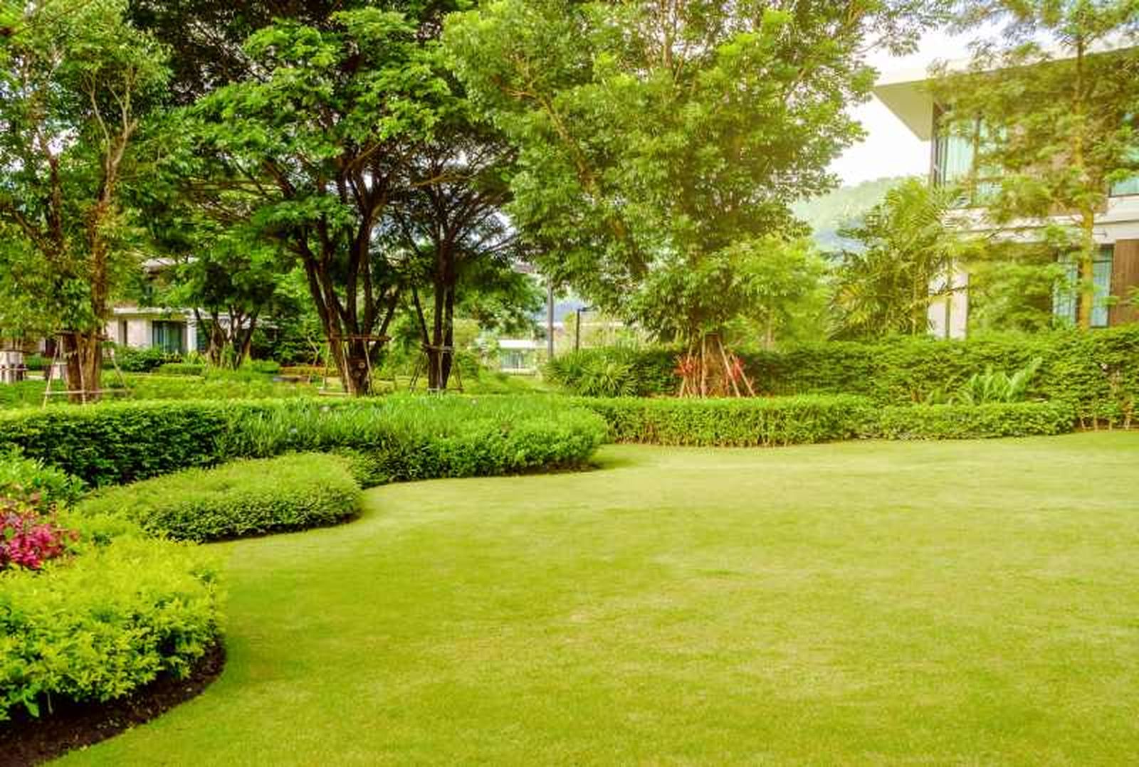Crea un borde natural y separa las distintas zonas del jardín. Crea un borde natural y separa las distintas zonas del jardín.