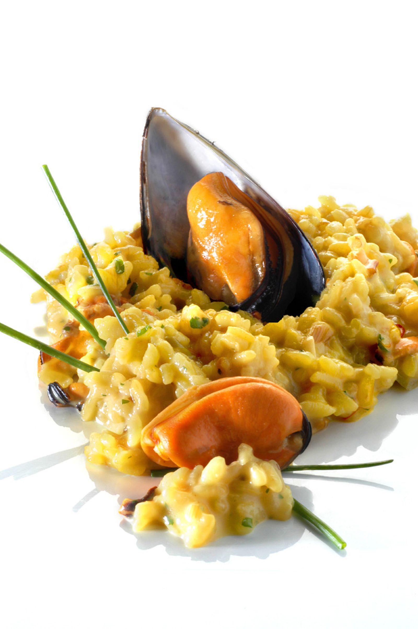 rissoto cremoso xl