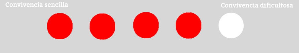 convivencia gato hamster