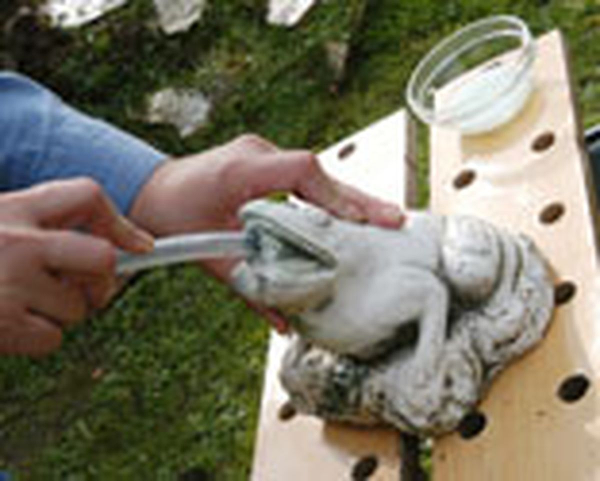 328 arregl fuent piedr p2