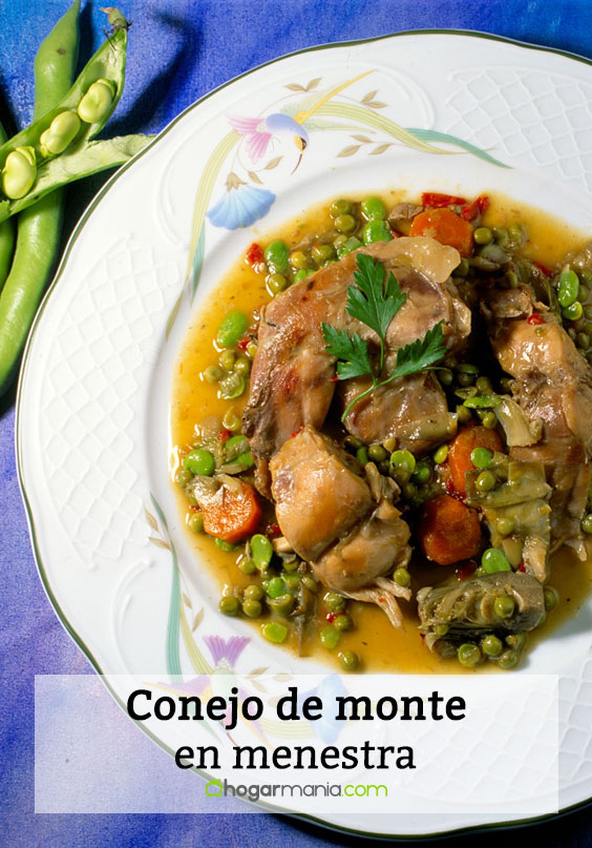 188 2 conejo monte menestra pin