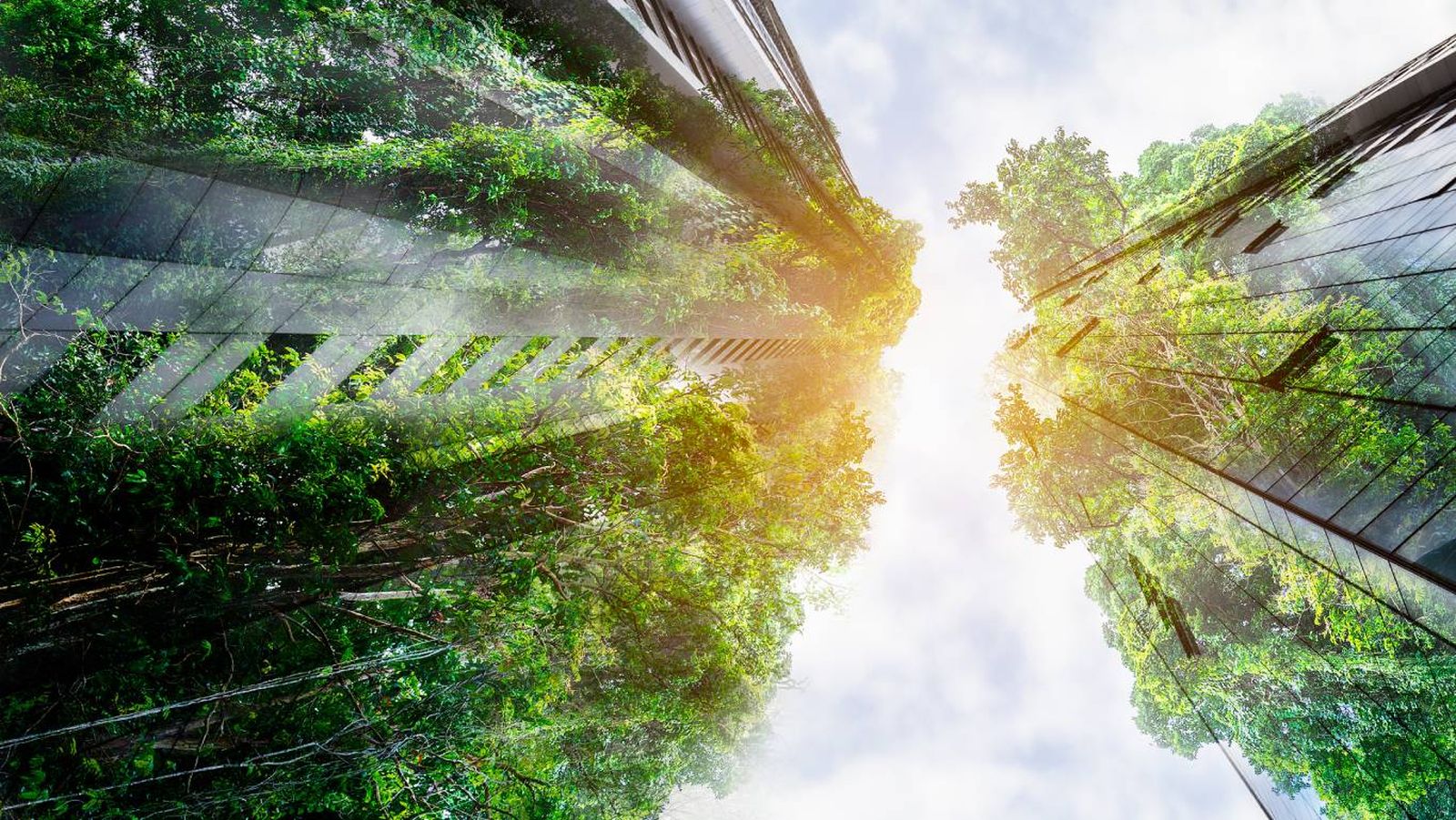 La arquitectura sostenible tiene el objetivo de reducir el impacto ambiental.