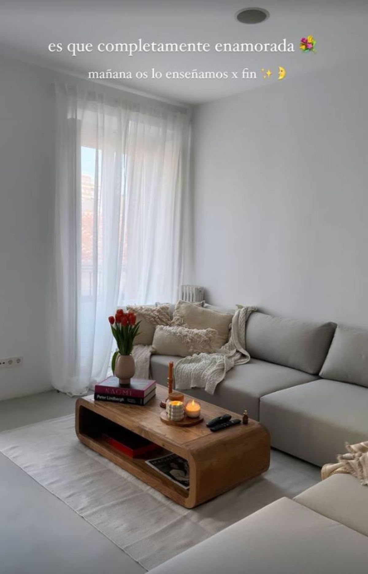 libros decorativos dulceida 1