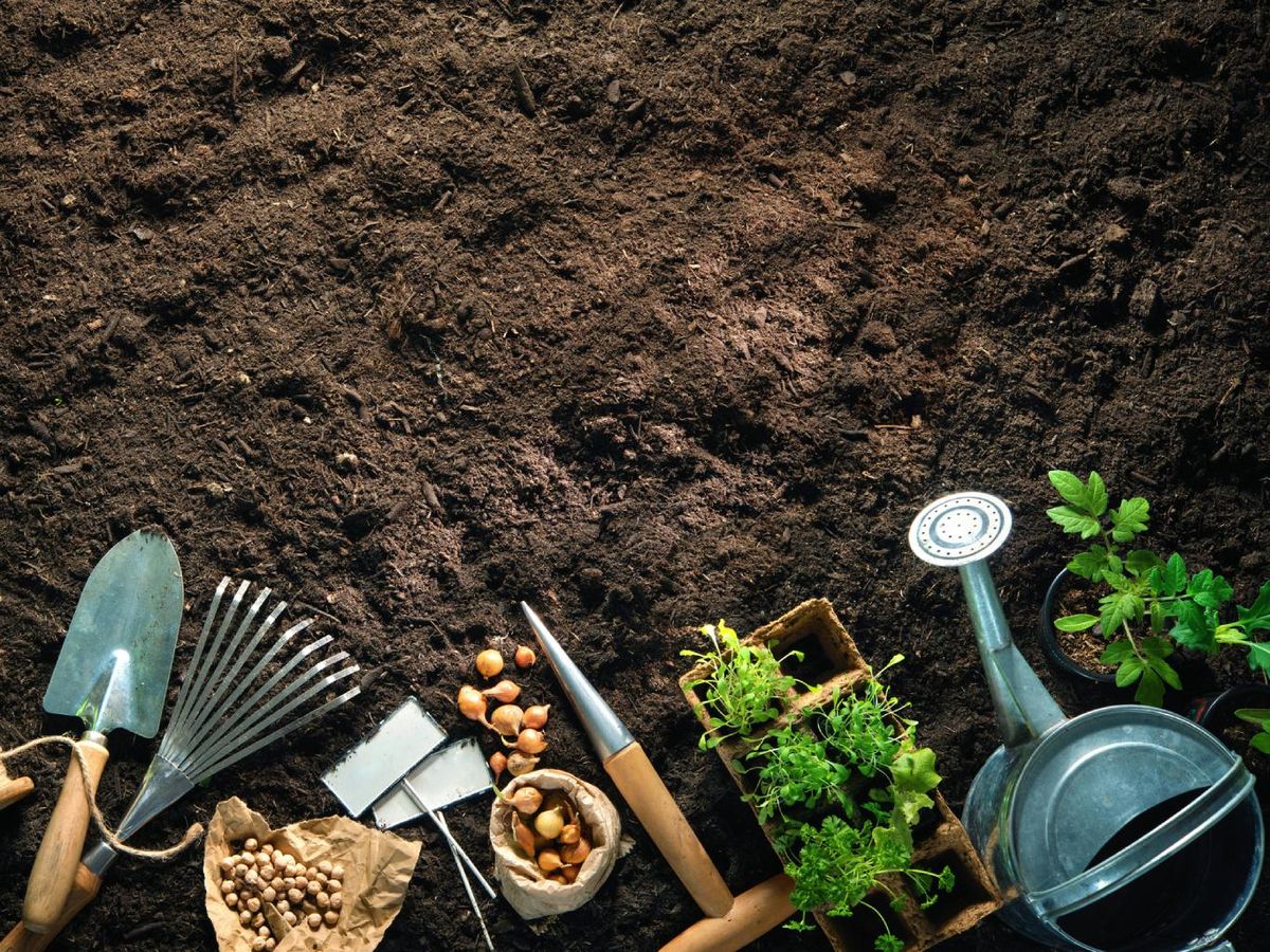 El papel de aluminio puede proteger las herramientas del jardín del óxido