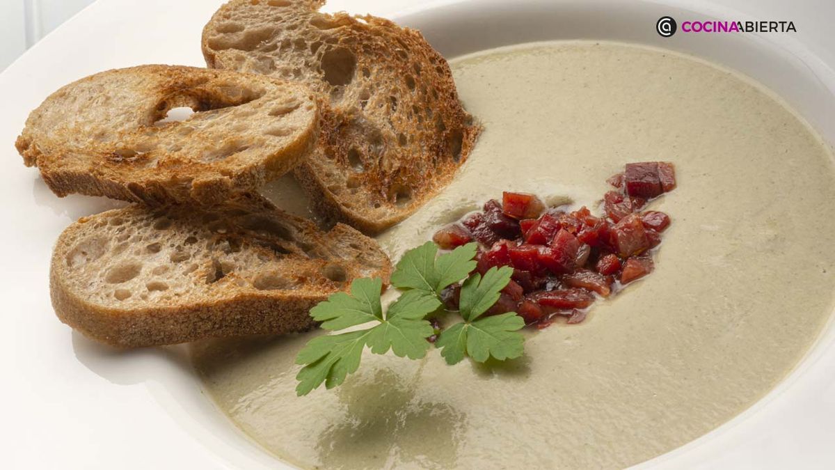 KARL6958 crema calabacin xl