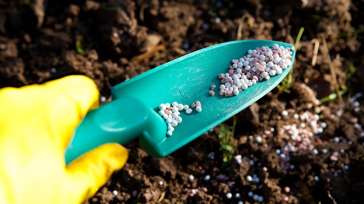 jardineria septiembre3