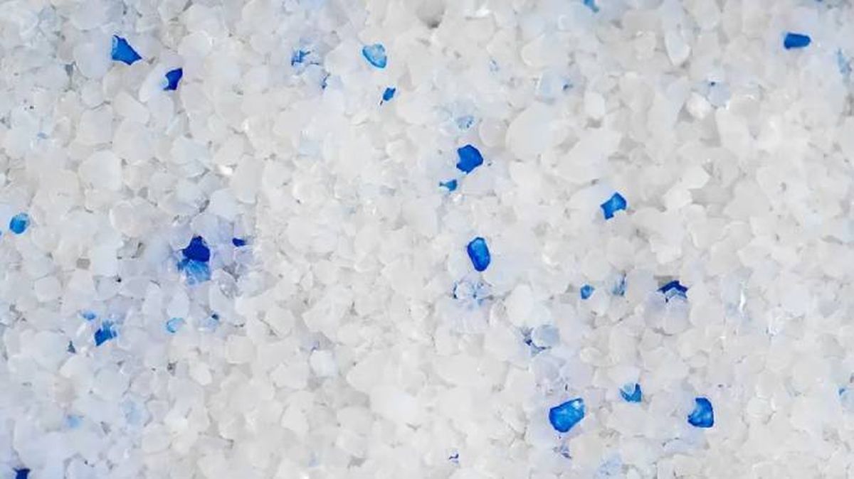 arena de silice para gatos 4