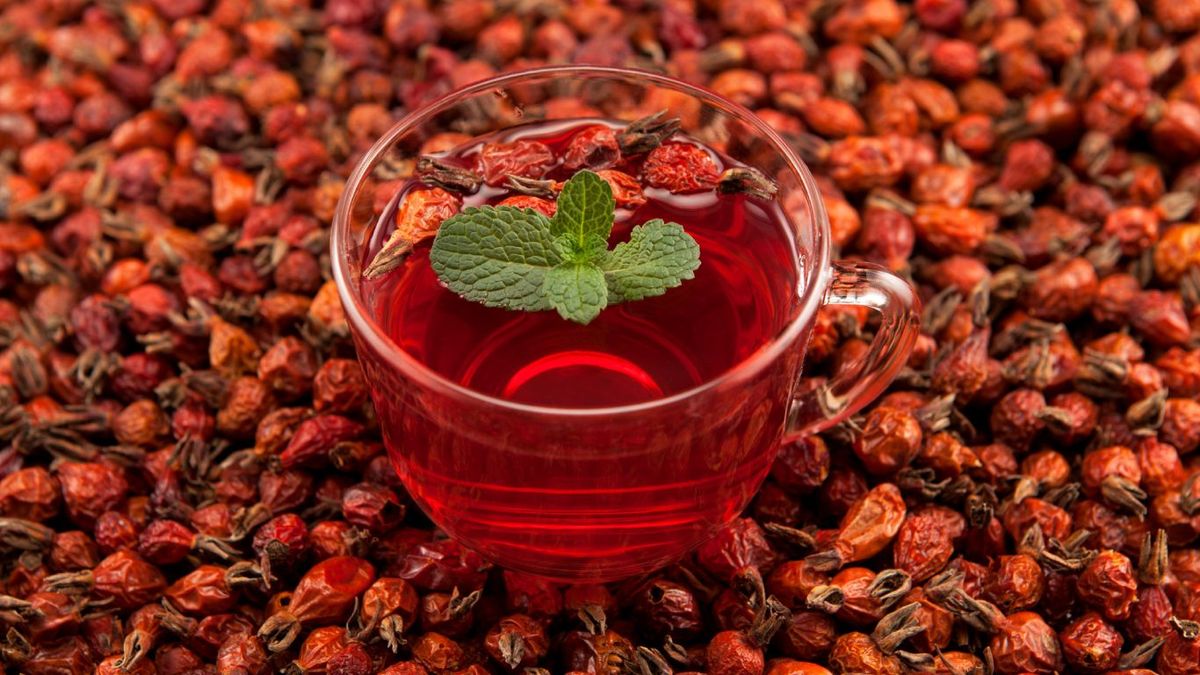 Infusión de escaramujo