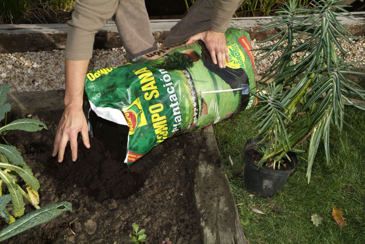 Planta para evitar topos paso 4