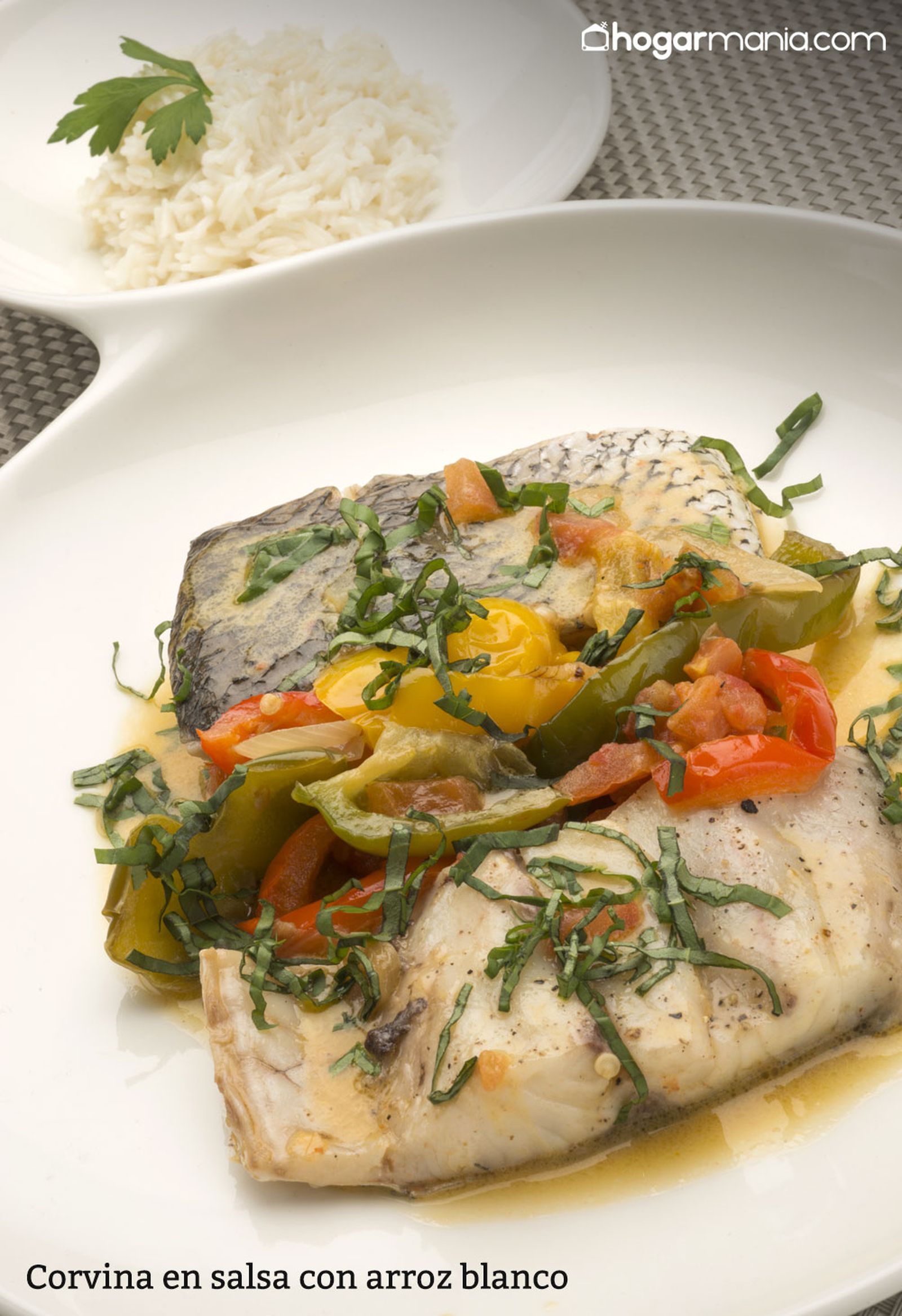 6057 1 Corvina en salsa con arroz blanco vertical xl 6057 1 Corvina en salsa con arroz blanco vertical xl