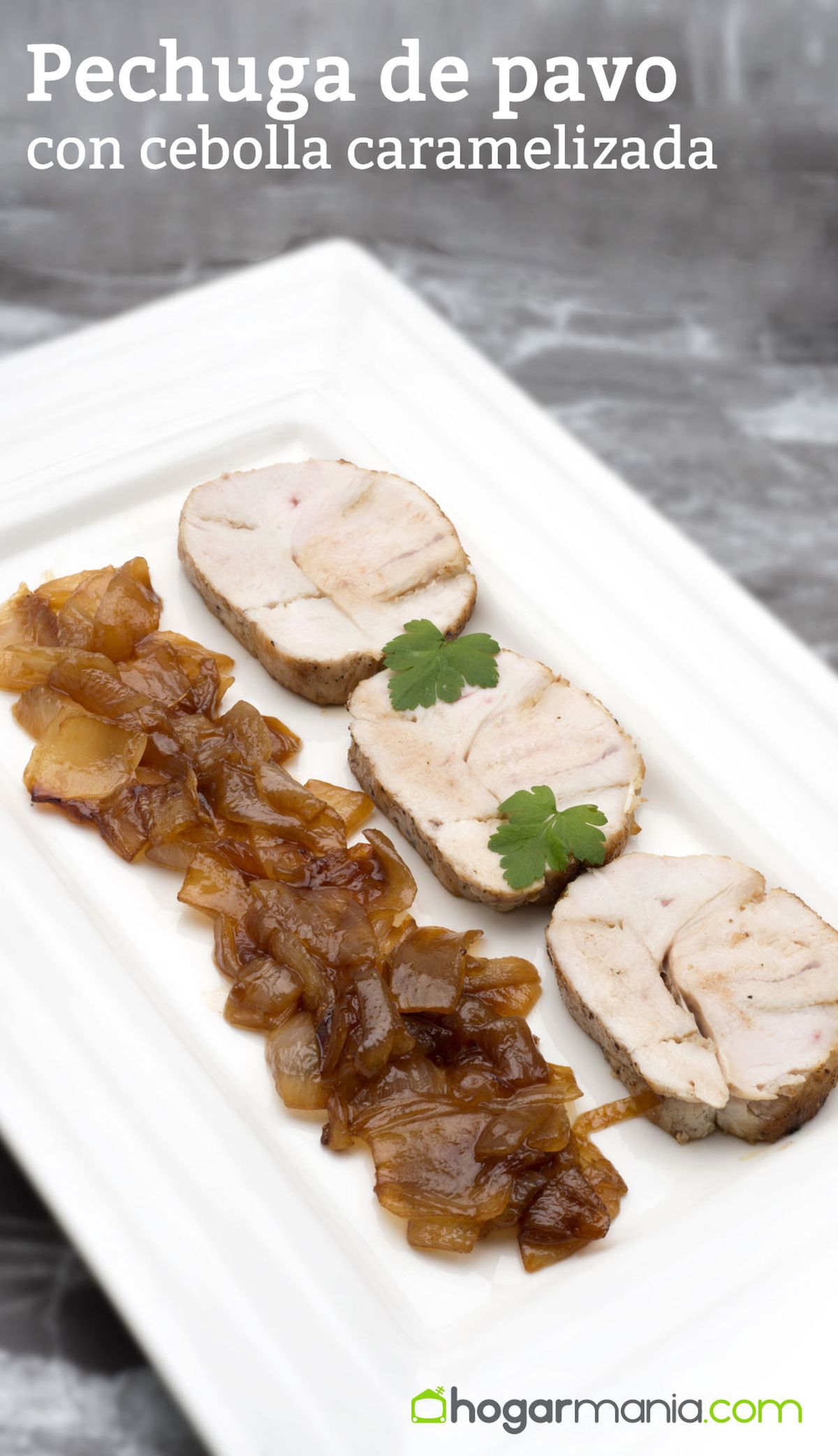 5946 1 Pechuga de pavo con cebolla caramelizada vertical xl