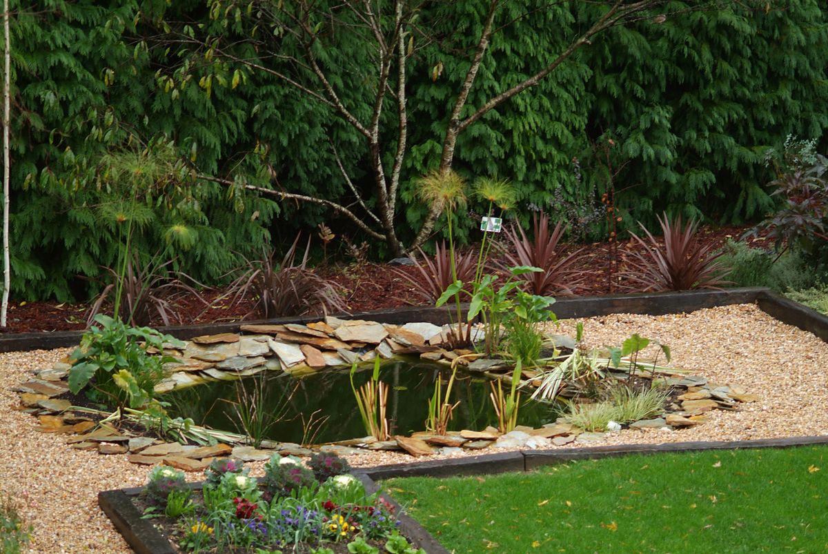 Cómo hacer un estanque para el jardín