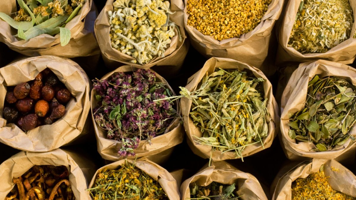 4 aceites naturales te