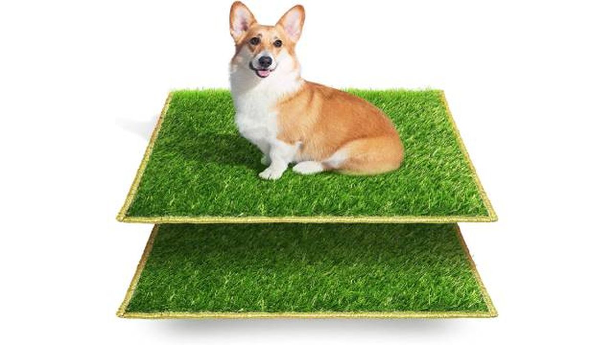 baño sintetico amazon