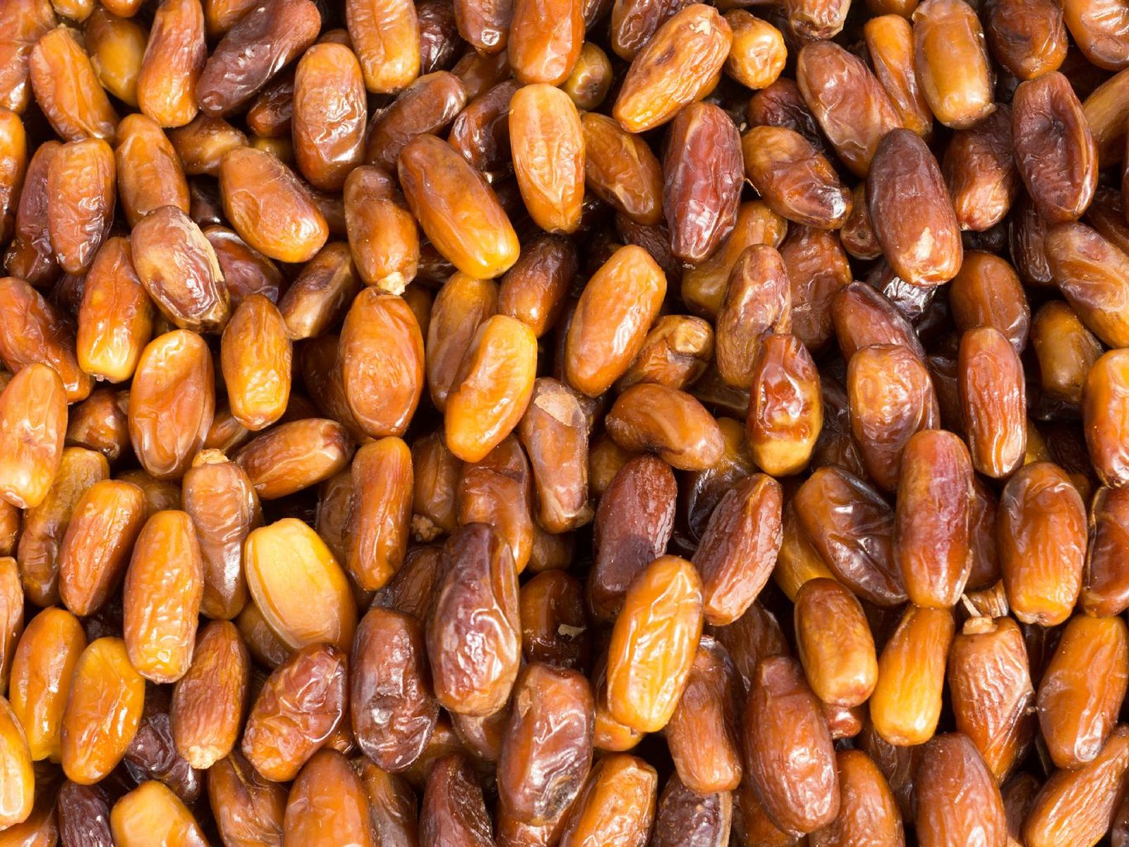 Dátiles Deglet Nour