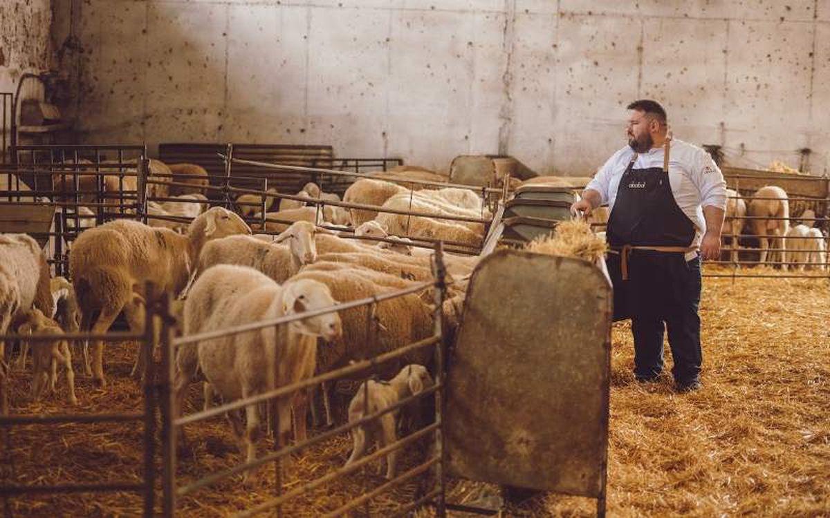 Ababol es el único restaurante con estrella Michelin de Albacete