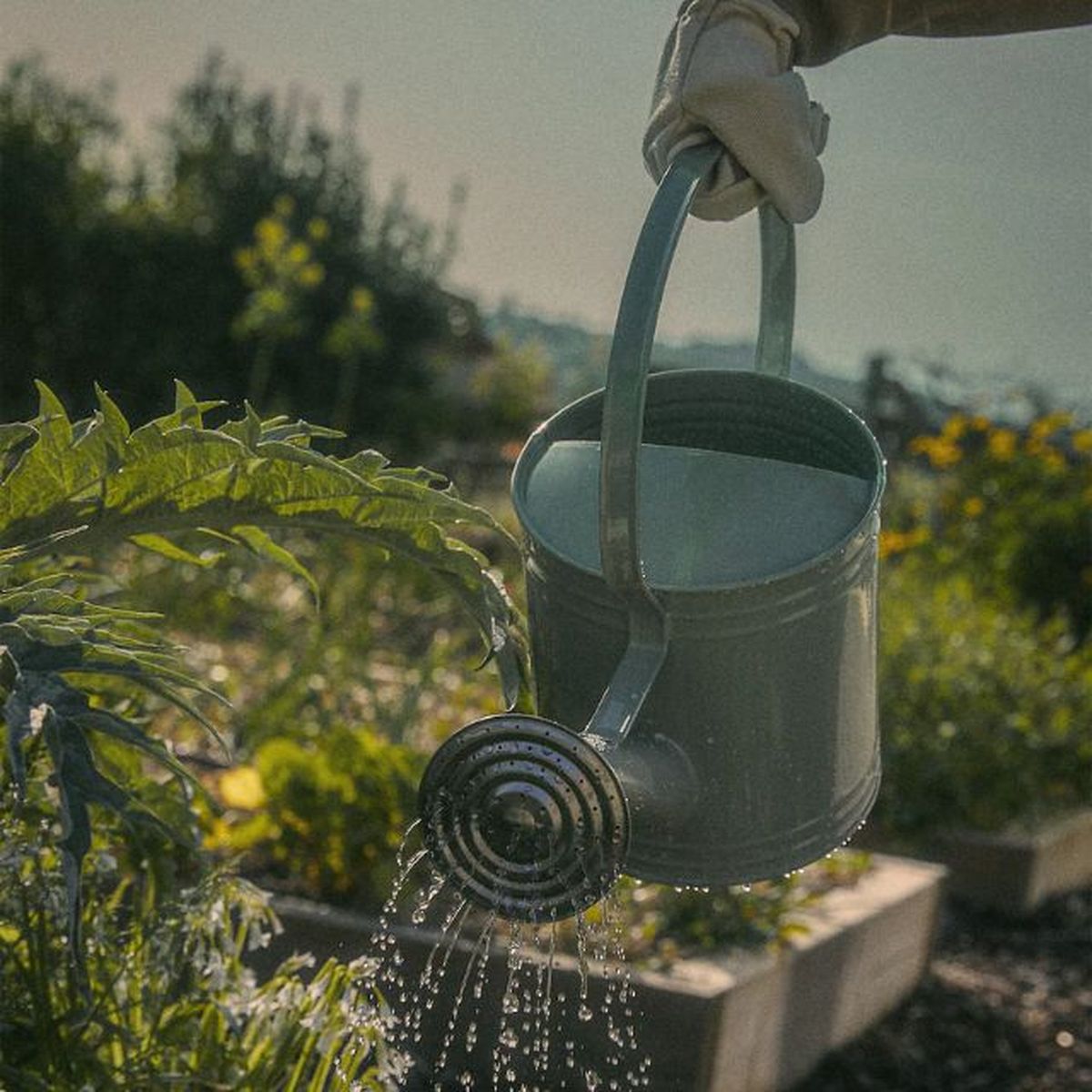 regadera de acero lacado zara home