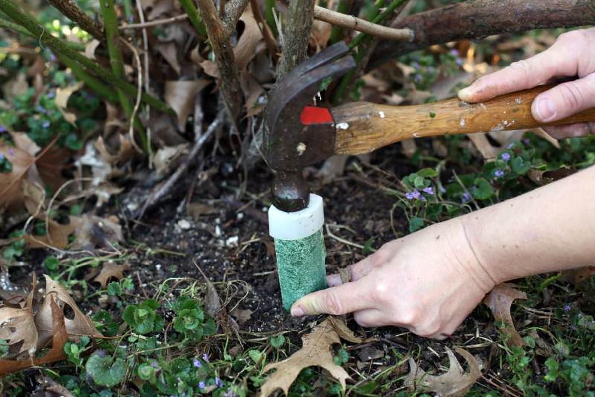 Mantén el césped protegido
