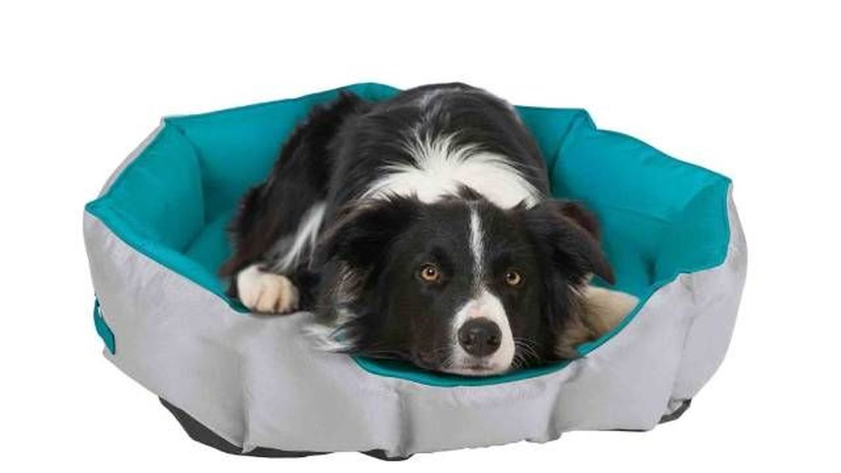 camas de perro para exteriores lidl mascotas