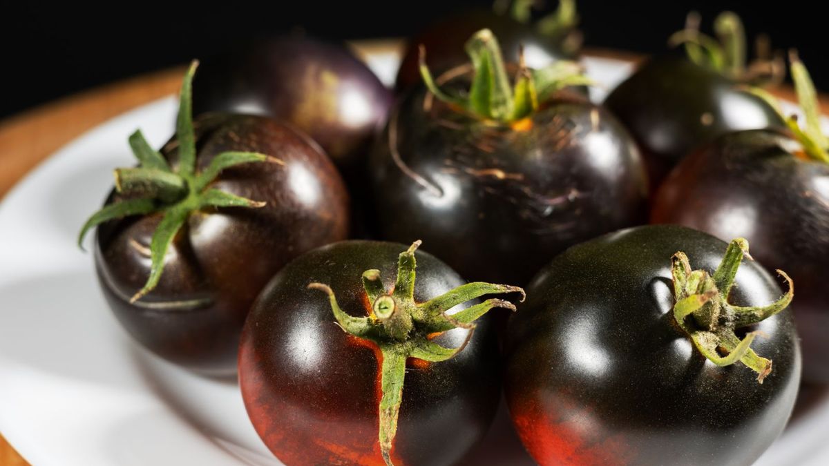 Tomate negro de crimea