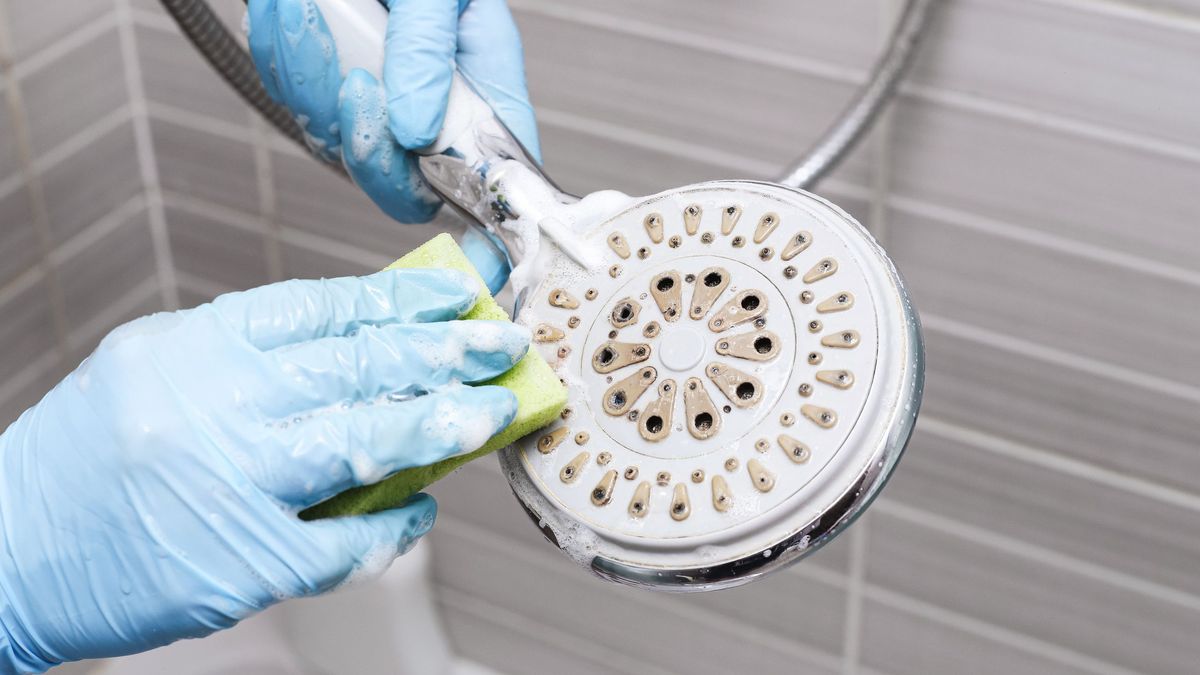 El vinagre balnco es clave para quitar la cal del cabezal de la ducha