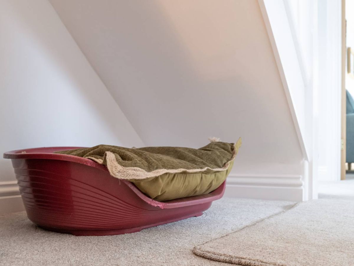 Un rincón para tu mascota también puede encajar perfectamente bajo la escalera.