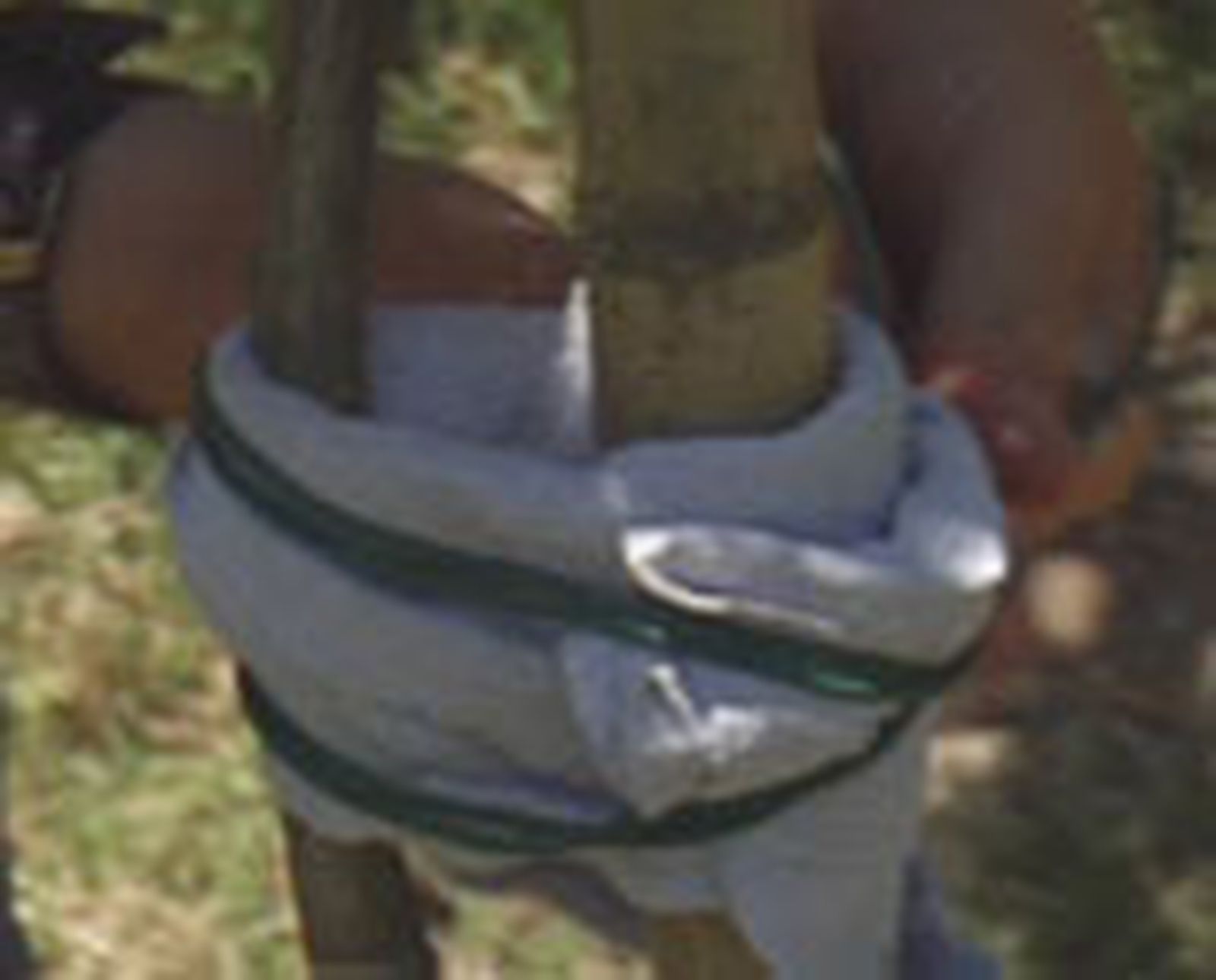entutorar naranjo p03 entutorar naranjo p03