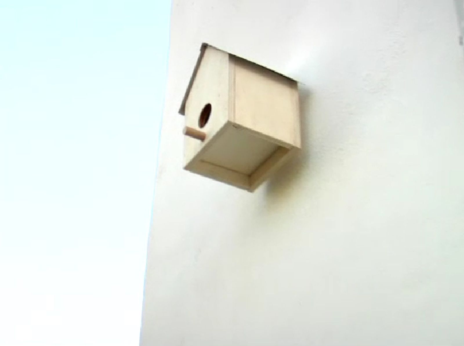 casa para pájaros de todo tiene arreglo