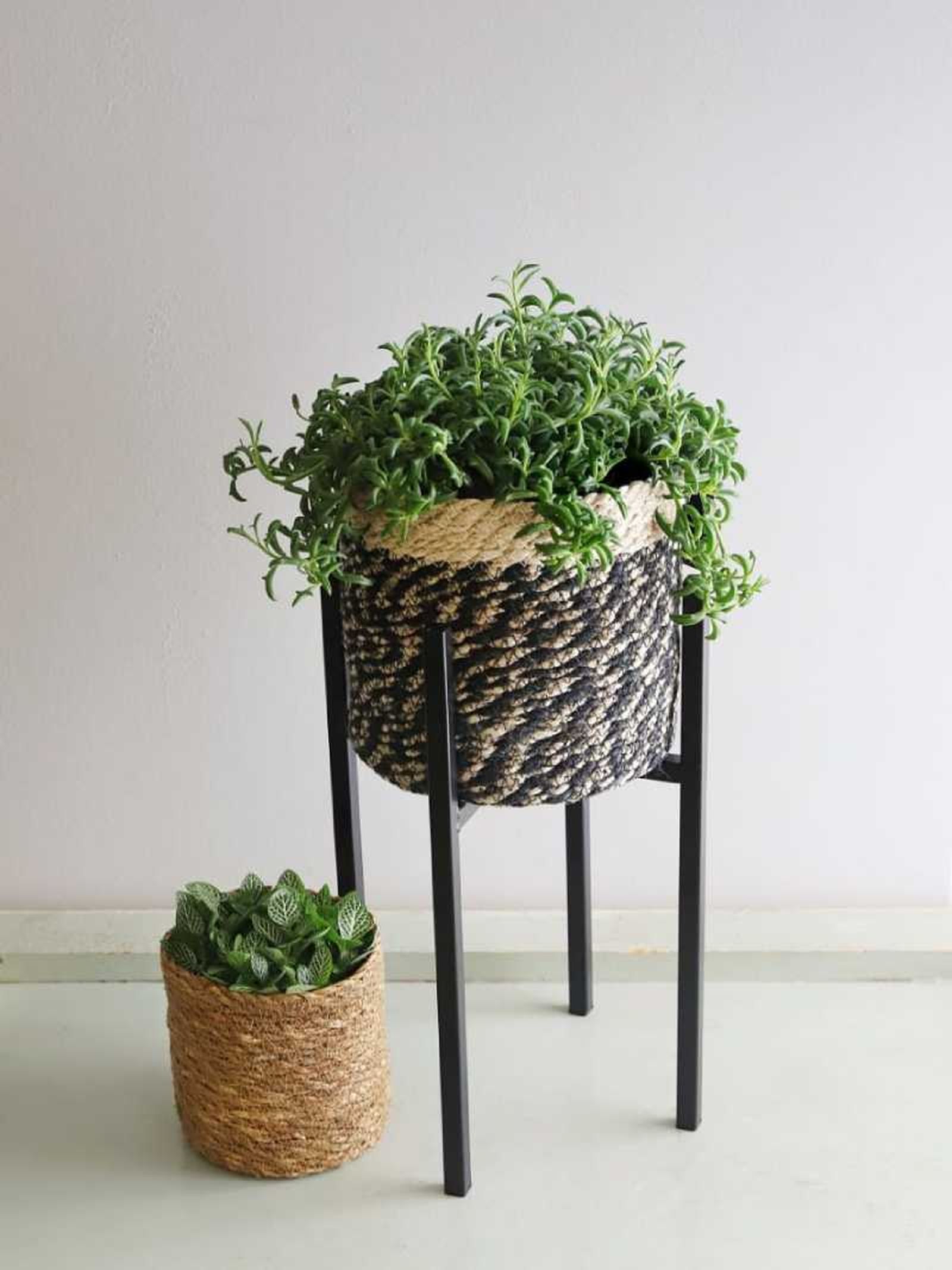 Soporte para plantas Ascot Soporte para plantas Ascot