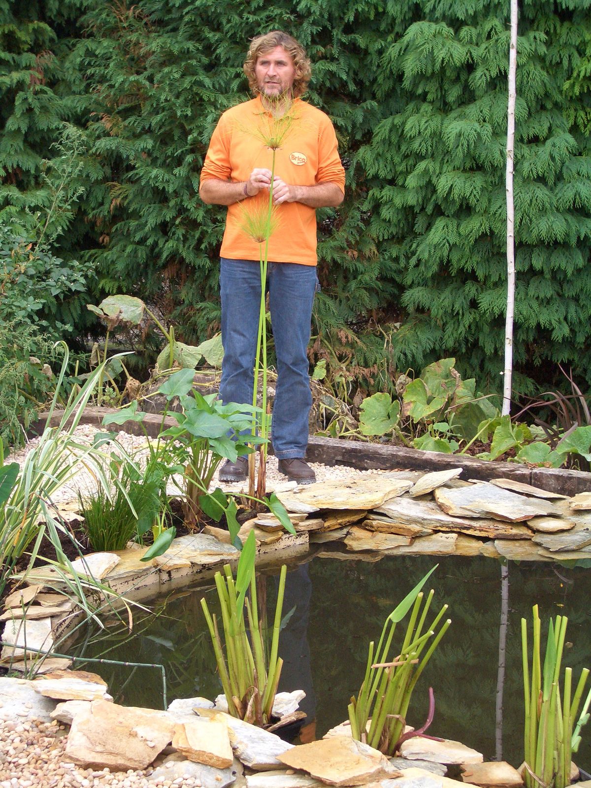 Cómo hacer un estanque para el jardín paso 10